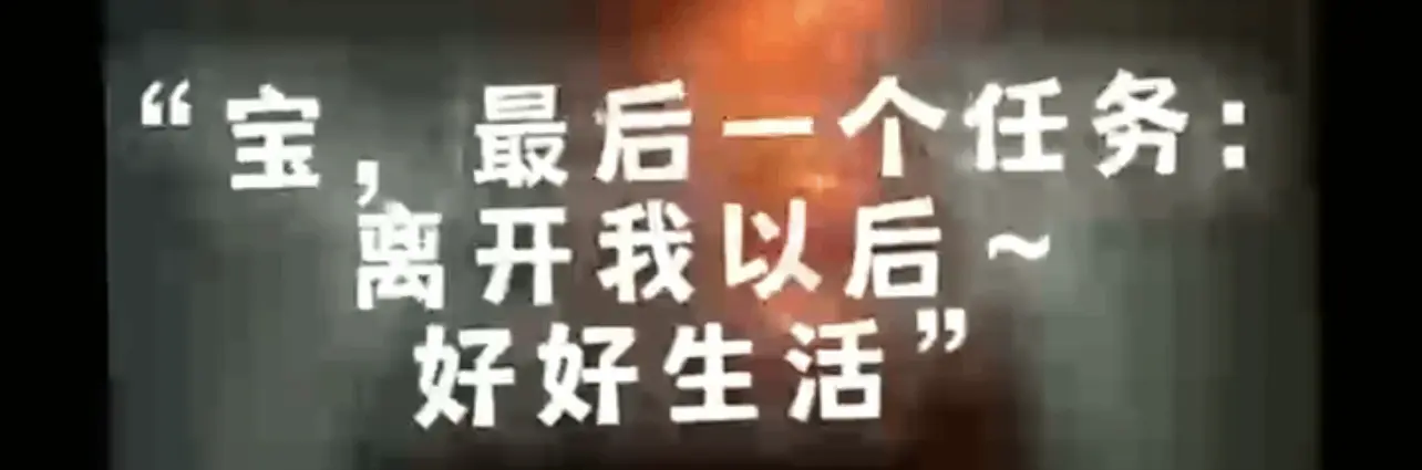 西檬之家k9是什么?字母圈新人入圈 一