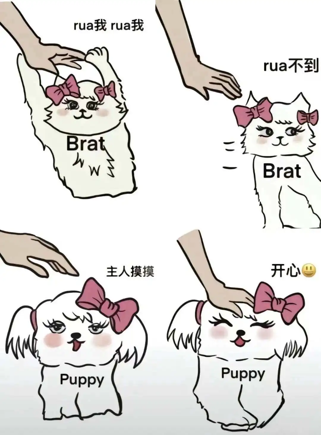 西檬之家BDSM新人入圈指南 一