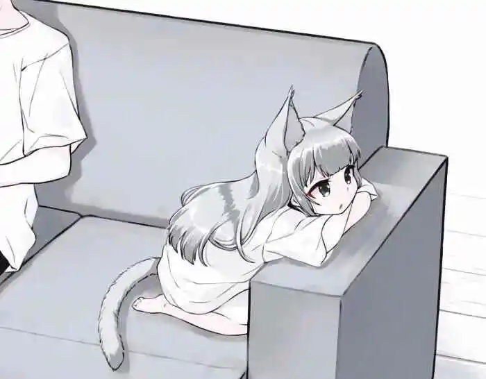 西檬之家Brat属性详解 一