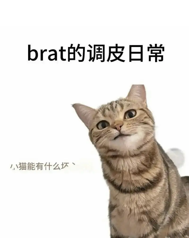 西檬之家字母圈SM是什么意思? 一