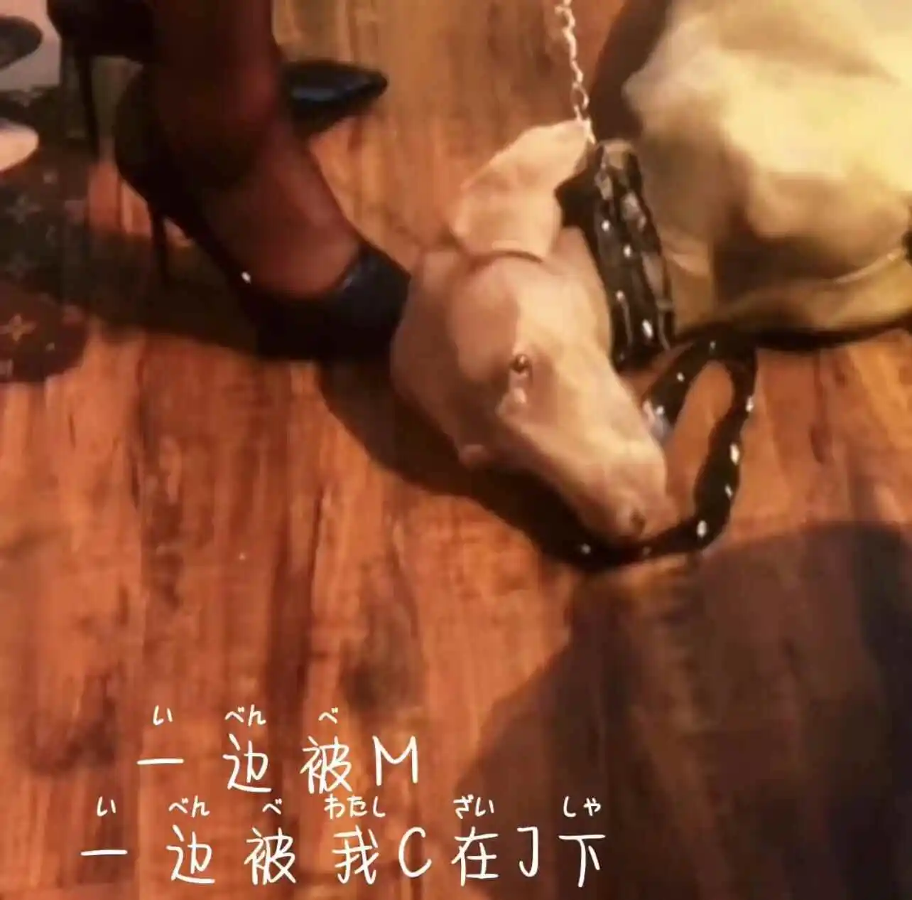 西檬之家CD在字母圈是什么意思? 一