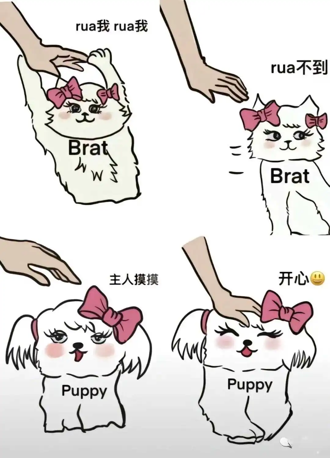 西檬之家S属性是什么意思? 一