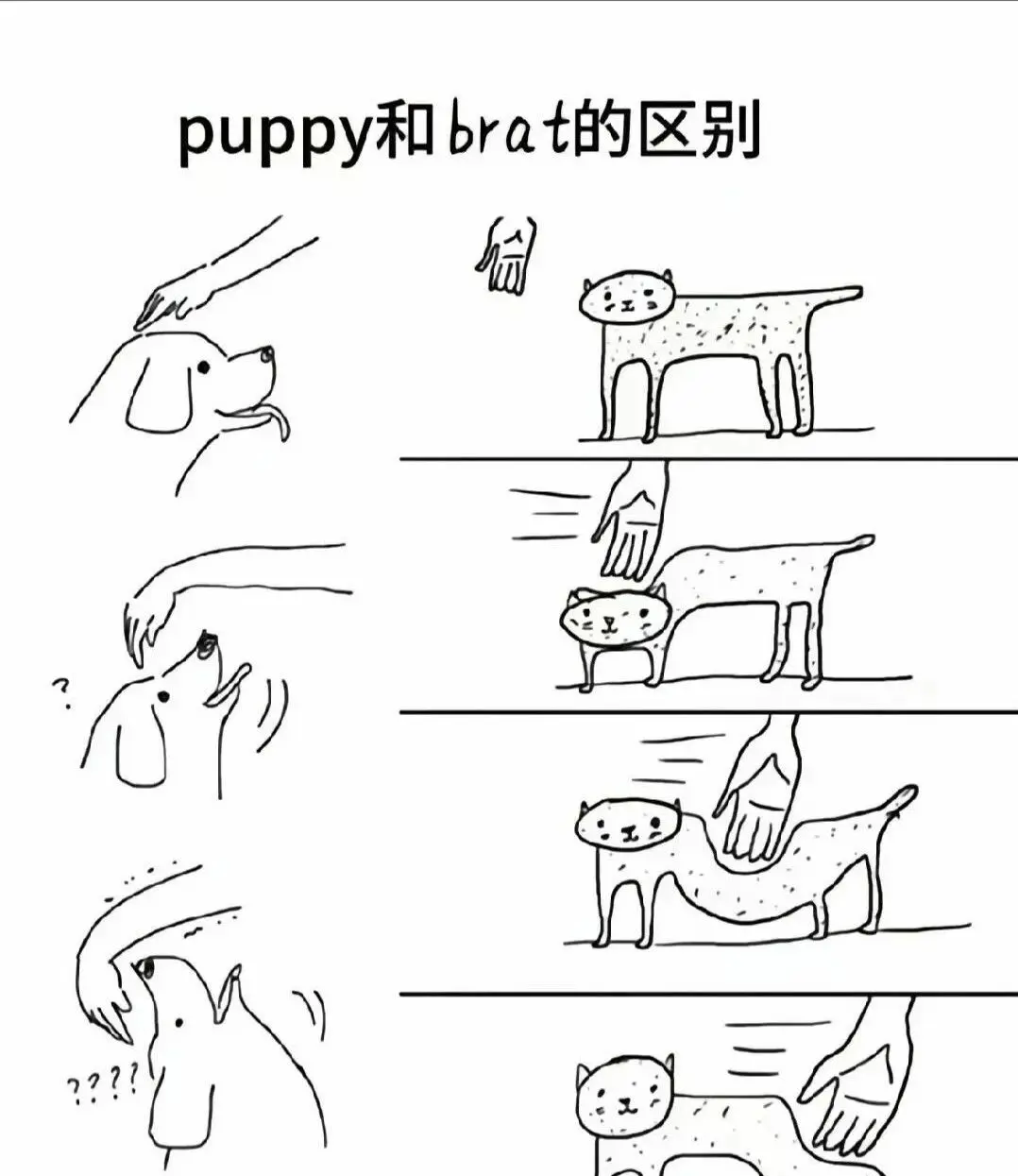 西檬之家字母圈的大圈是什么? 一