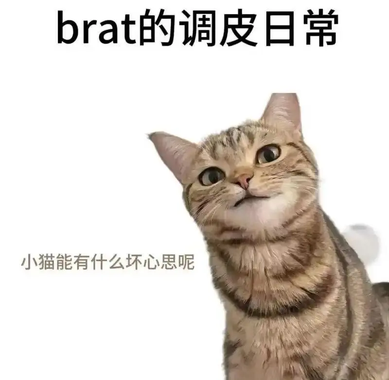 西檬之家SM是什么意思? 一