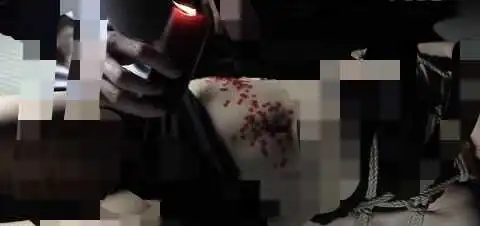 西檬之家字母圈的DS关系是什么意思？ 一