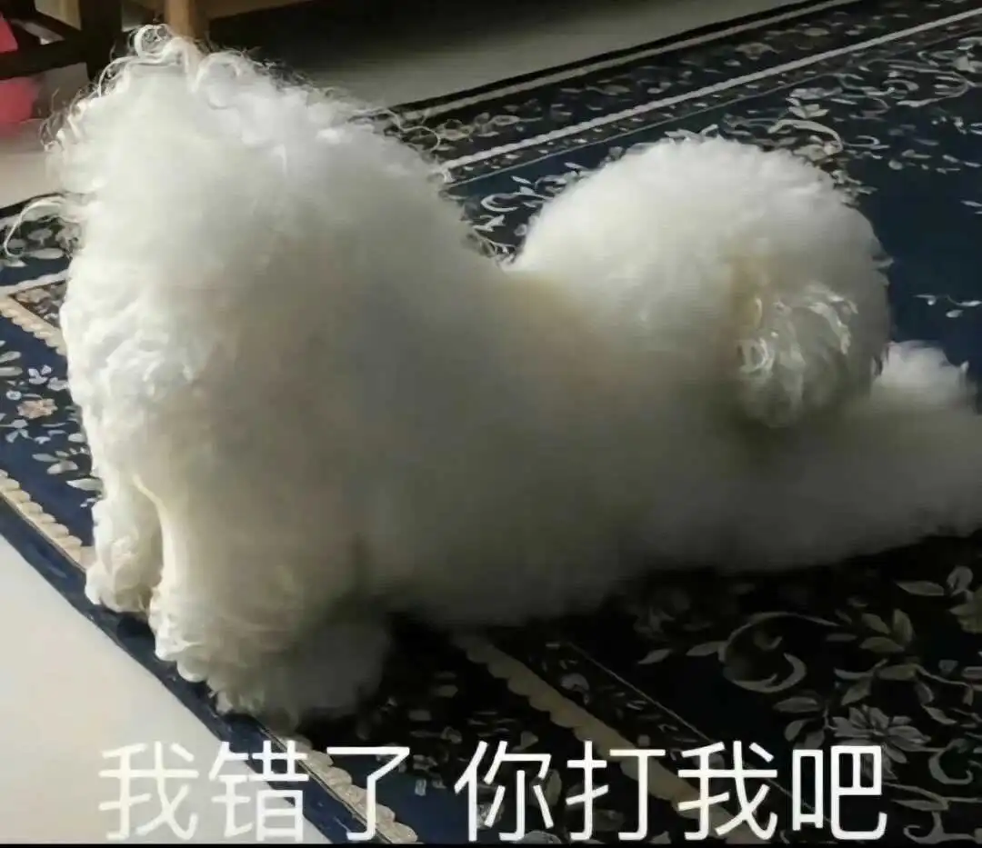 西檬之家女王是什么意思?字母圈身份揭秘 一