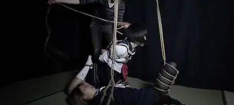 西檬之家TS是指变装还是跨性别? 一