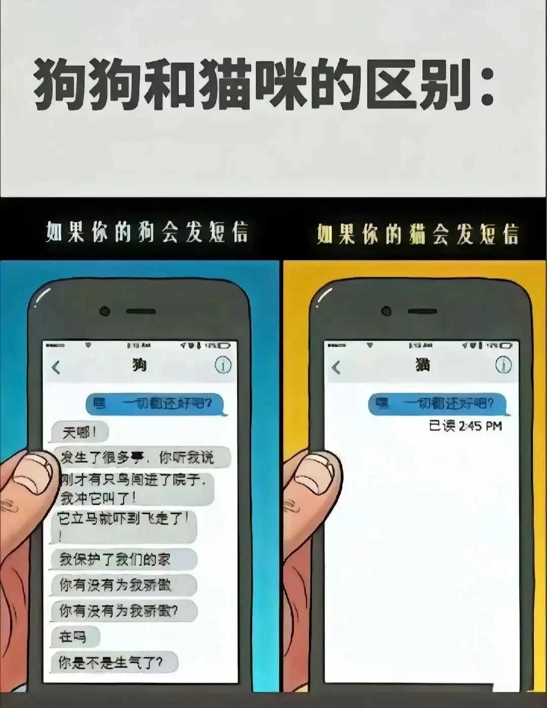 西檬之家字母圈Aftercare是什么意思 一